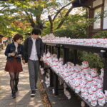 豪徳寺、ちーこと蒼井